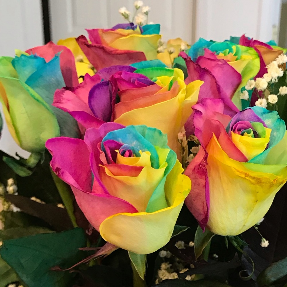 Meet your Posher, Farah